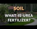 what is urea fertilizer